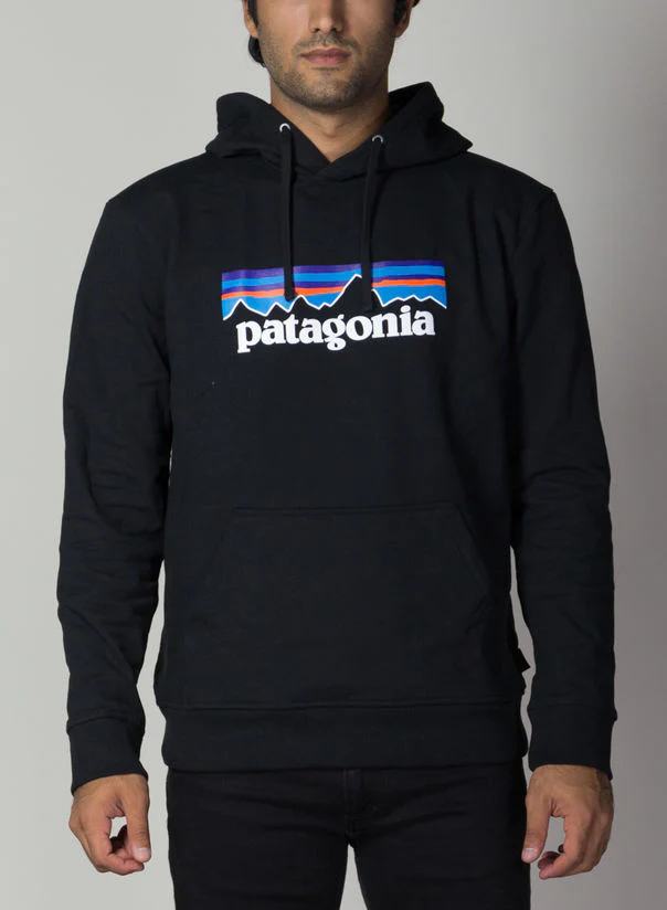 – Patagonia felpa con cappuccio col nero   con logo